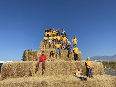Students on haystack