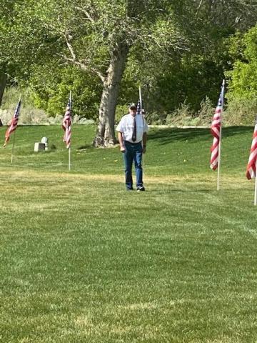 Veteran walking among flags