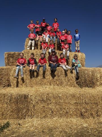 Students on haystack 